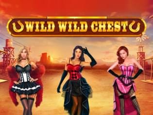 Wild Wild Chest screenshot